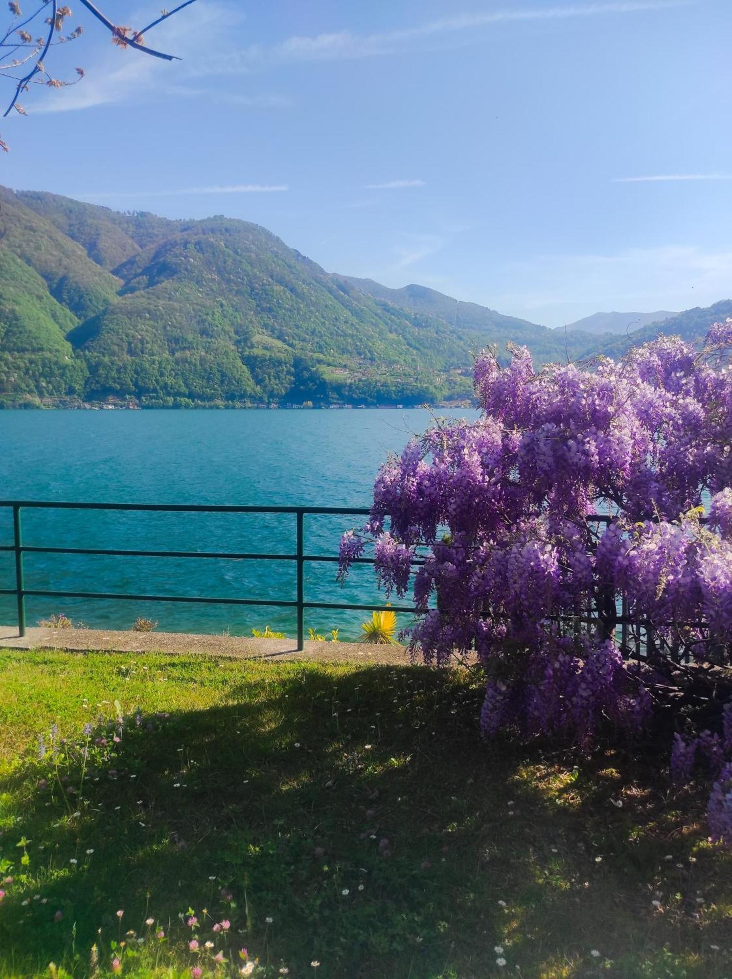 Lfsuite Luganolake Terrazza Spiaggia Privata Parking Wi-Fi Netflix 波尔莱扎 外观 照片